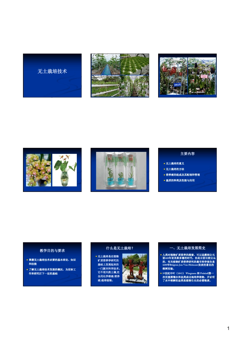 无土栽培技术_第1页