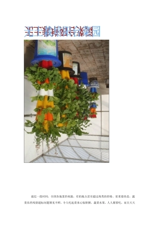 无土栽培阳台菜园