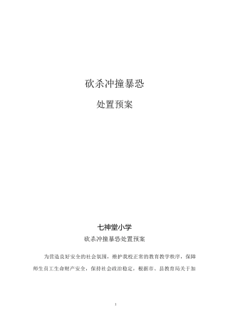 防砍防冲撞防防暴恐应急预案精编版