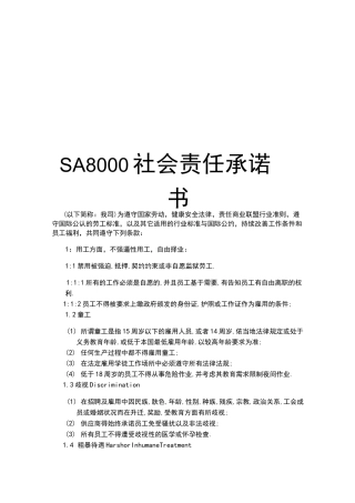 SA8000社会责任承诺书