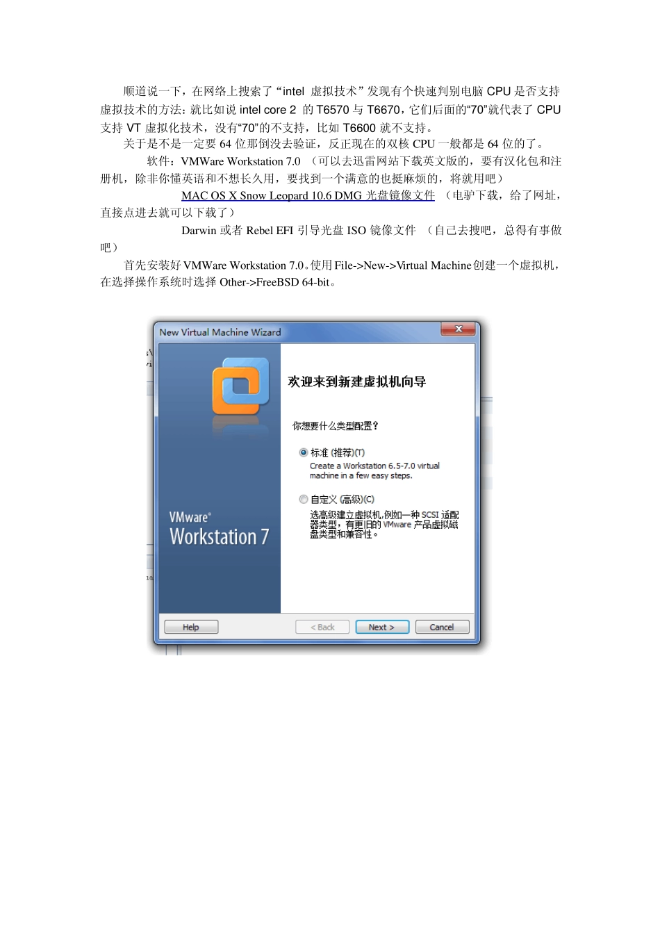 无需刻录DMG光盘,教你在VMware_Workstation_7.0虚拟机安装苹果雪豹_10.6_第2页