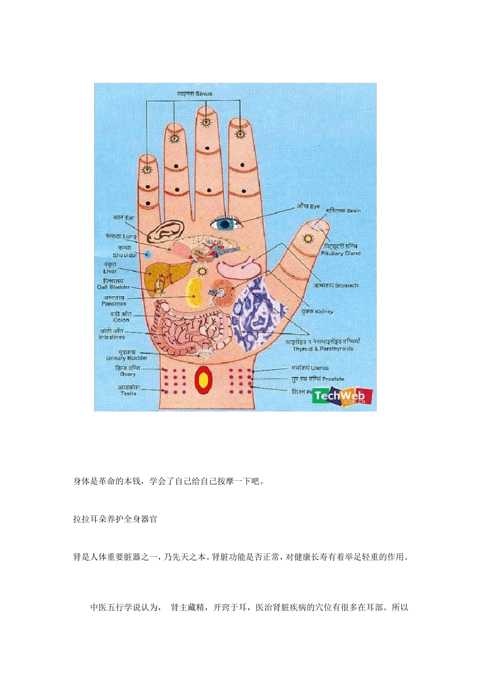 日常养生保健知识_第2页