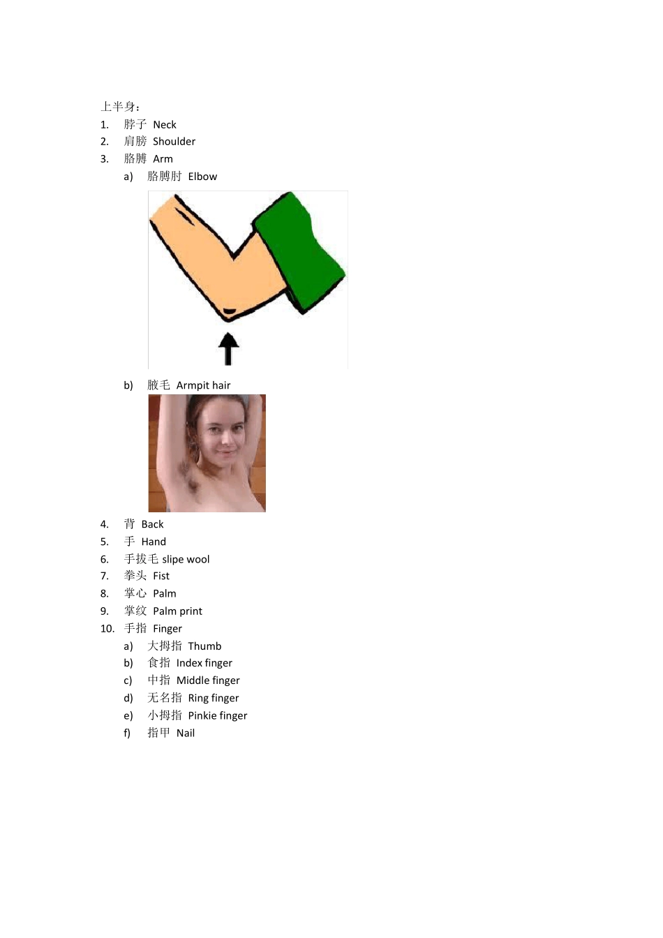 日常生活常用英文单词人体(图)_第3页