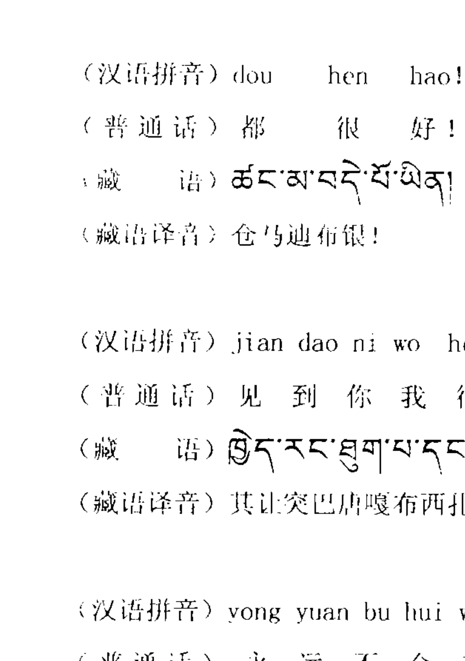 日常藏语速成_第3页