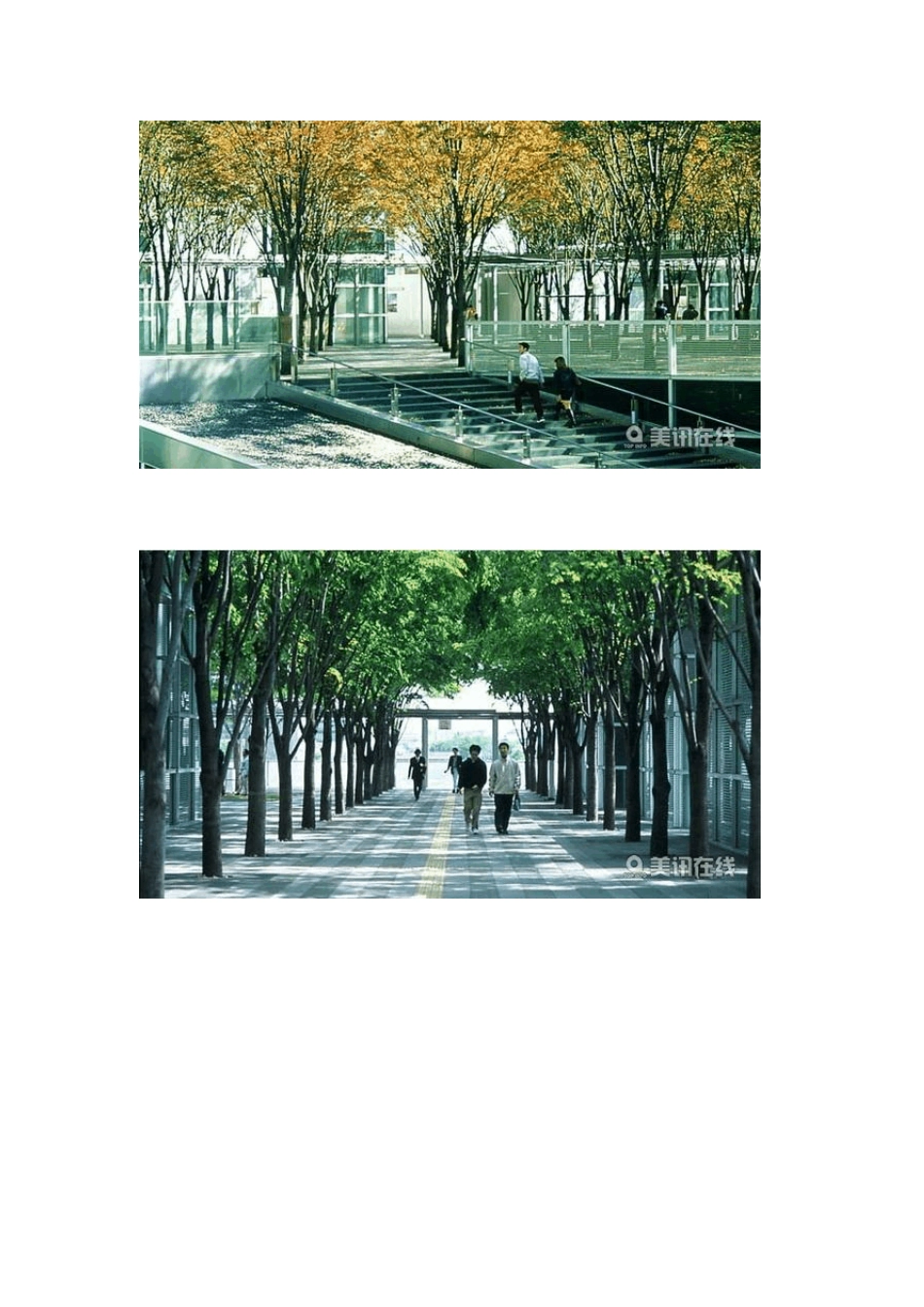 日本崎玉县空中森林广场_第3页