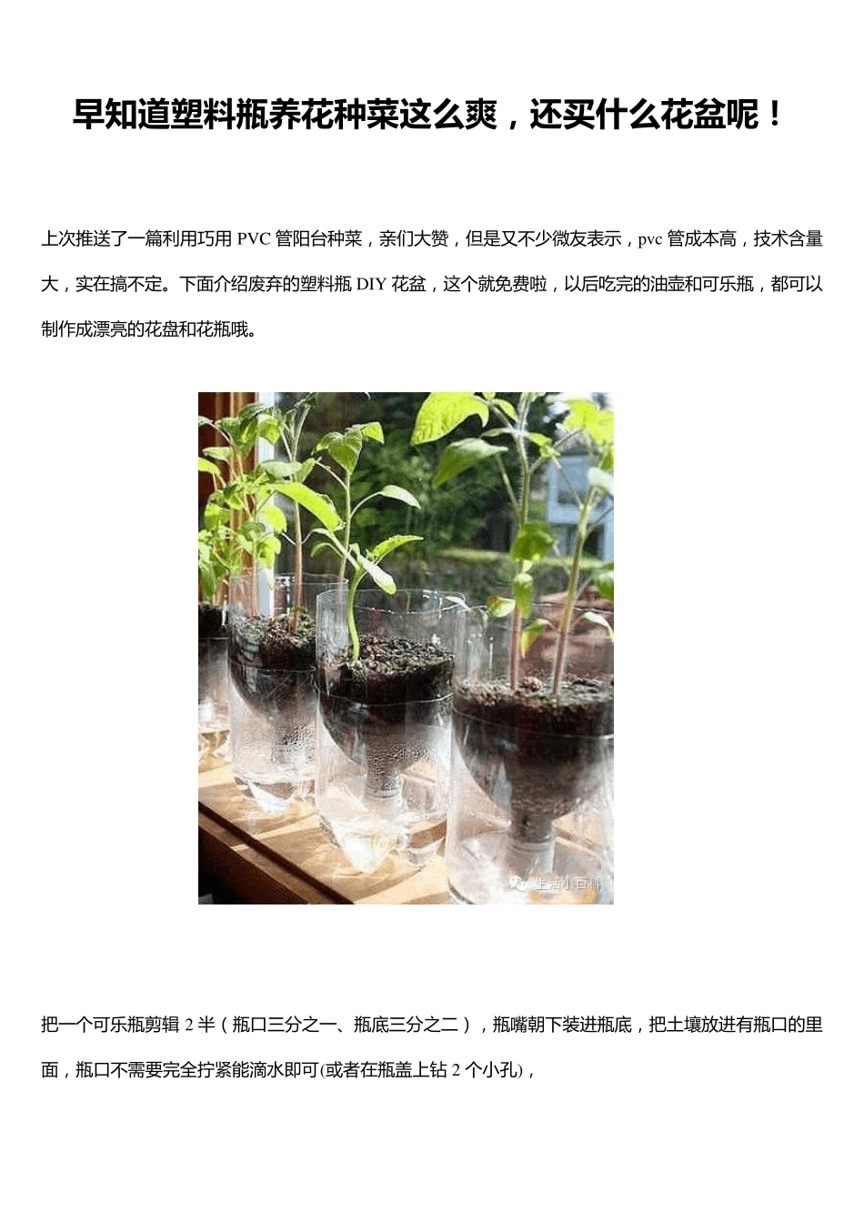 早知道塑料瓶养花种菜这么爽,还买什么花盆呢!_第1页