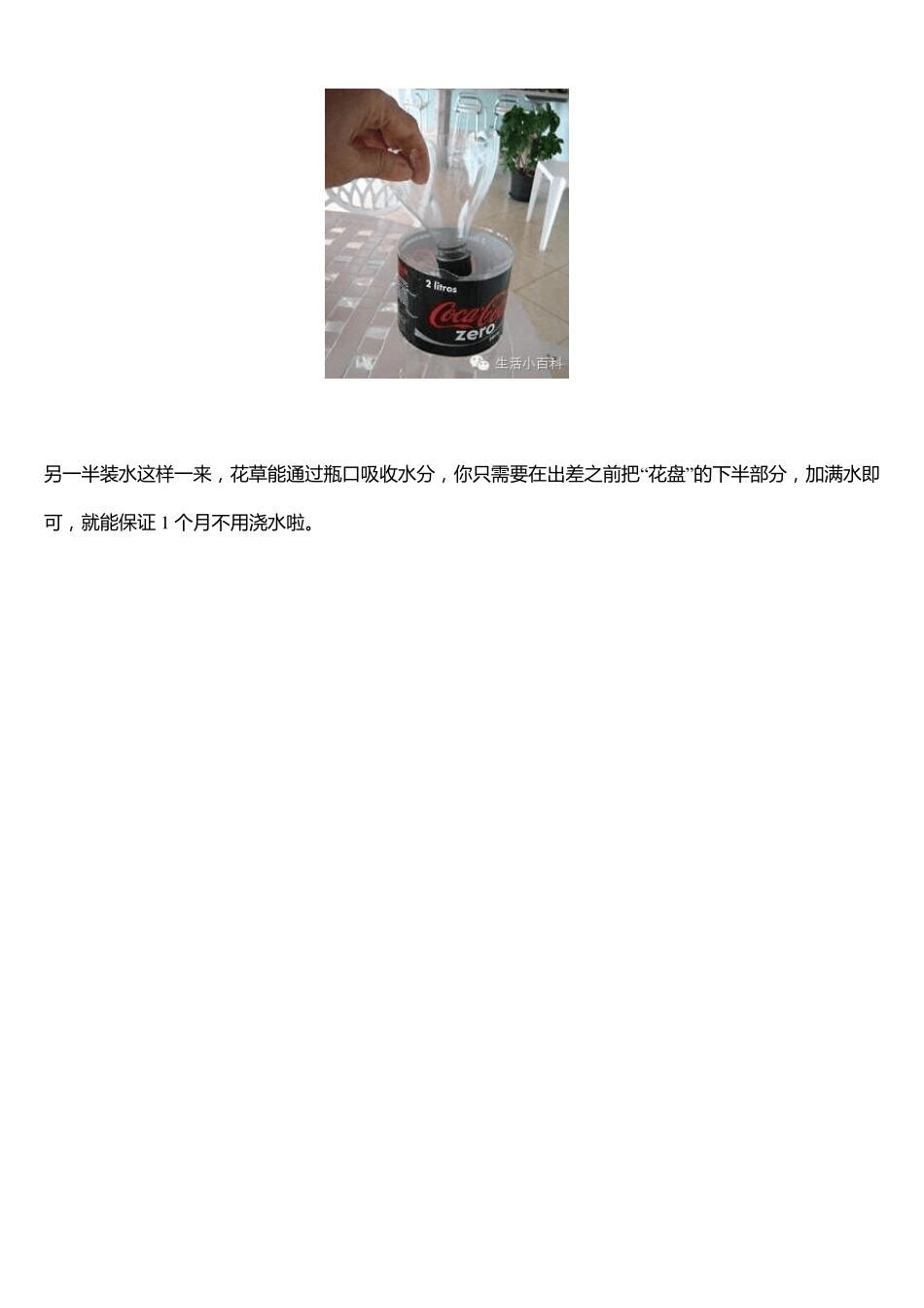 早知道塑料瓶养花种菜这么爽,还买什么花盆呢!_第2页