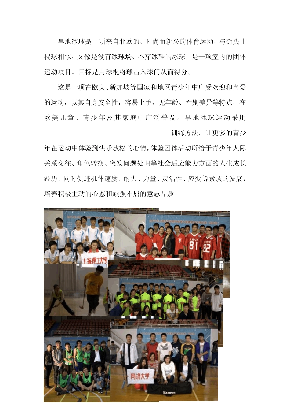 旱地冰球的发展_第2页