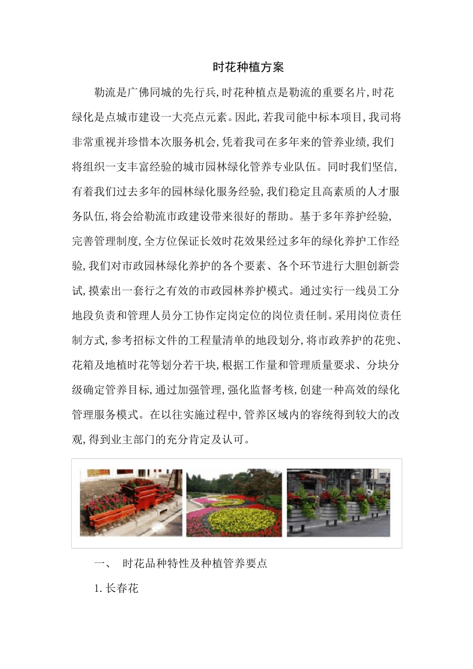 时花种植管养方案_第1页
