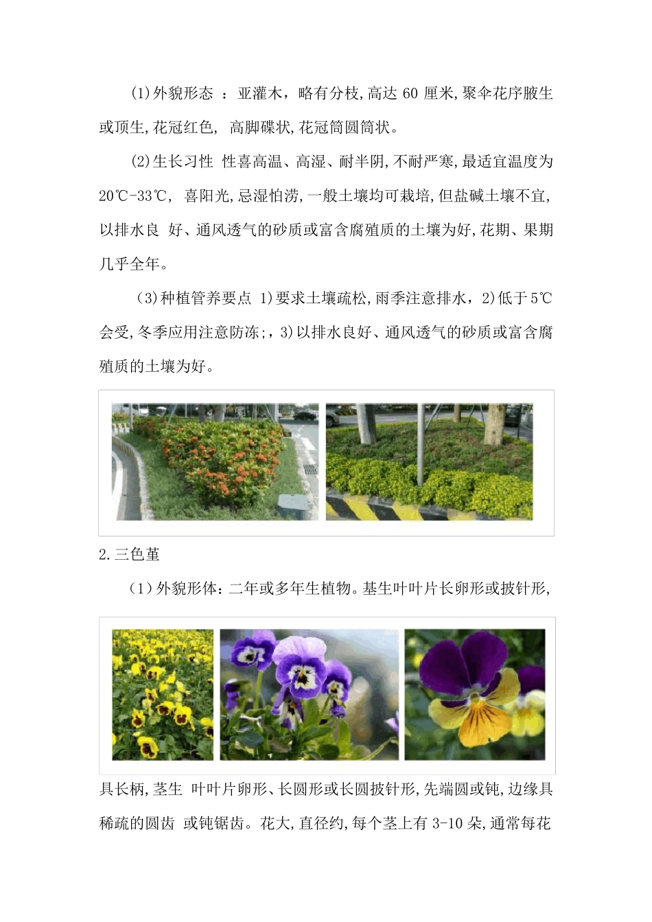 时花种植管养方案_第2页