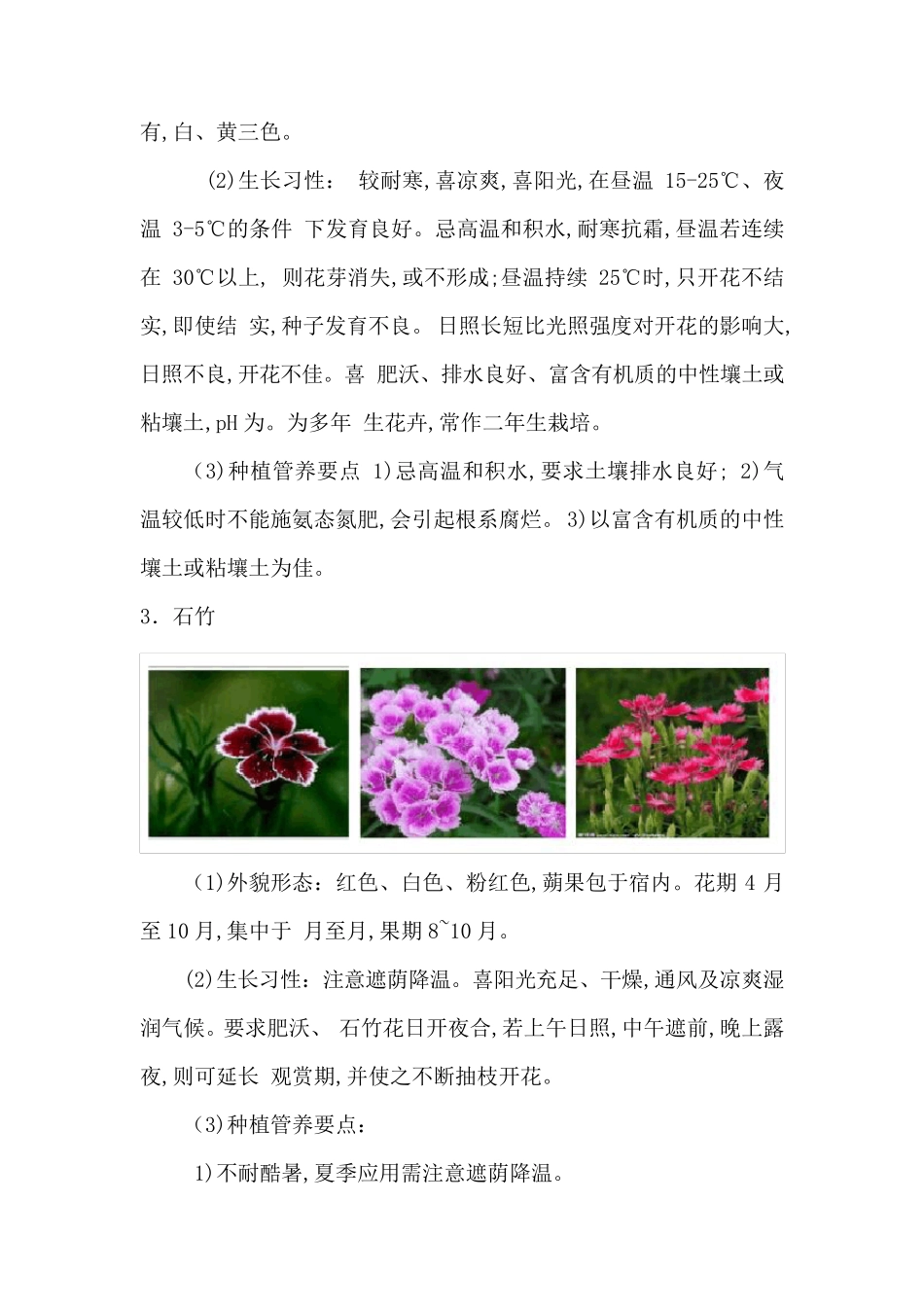 时花种植管养方案_第3页