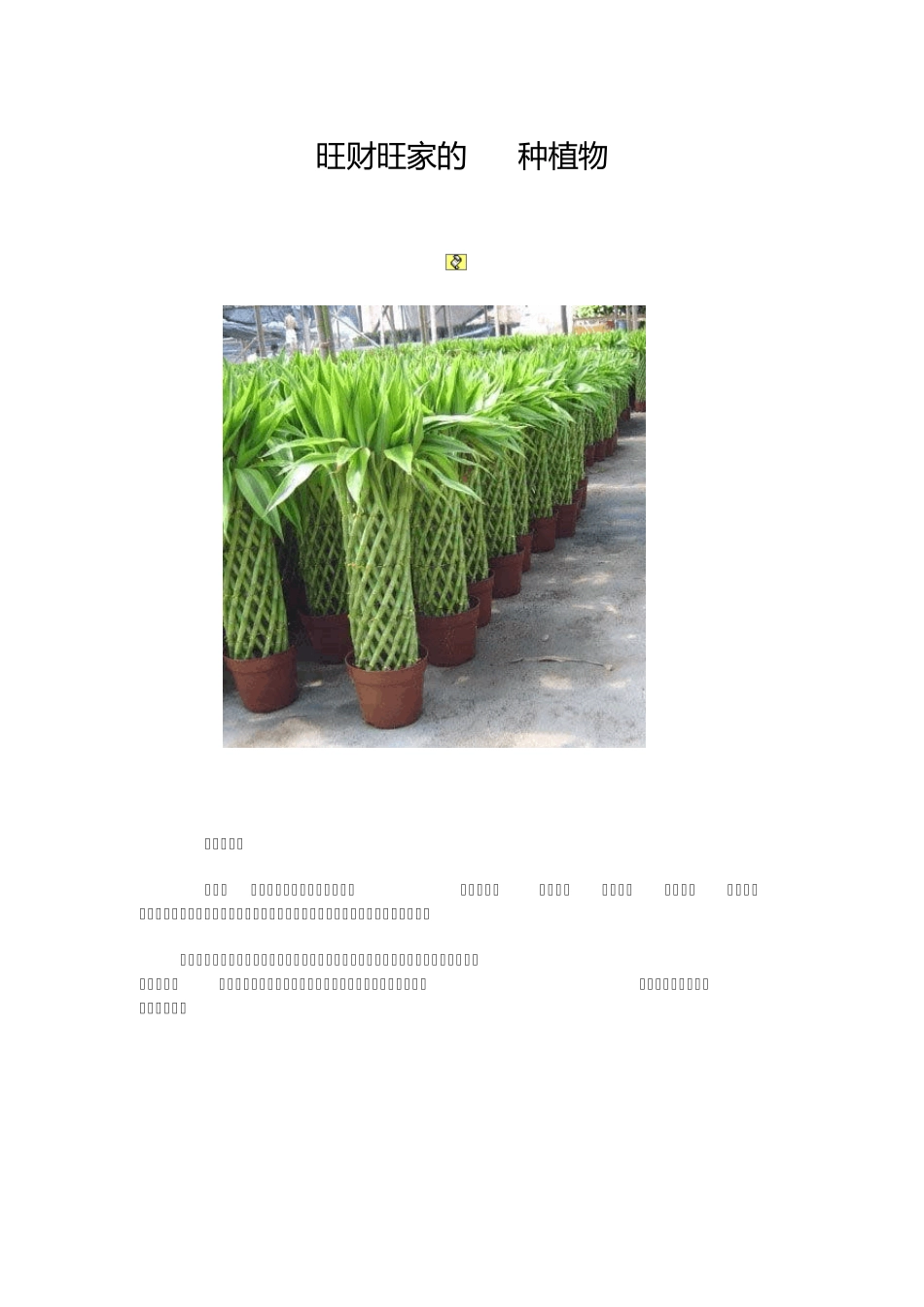 旺财旺家的28种植物_第1页