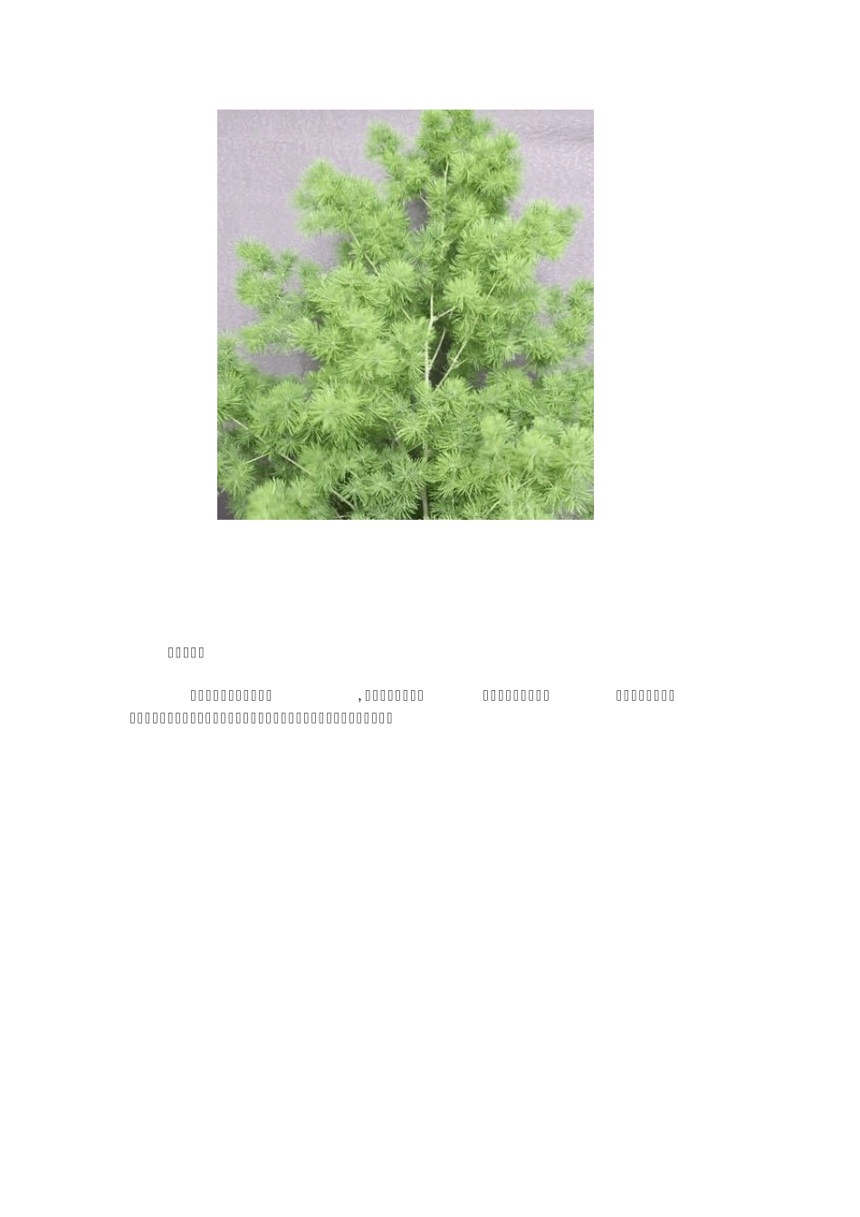 旺财旺家的28种植物_第3页