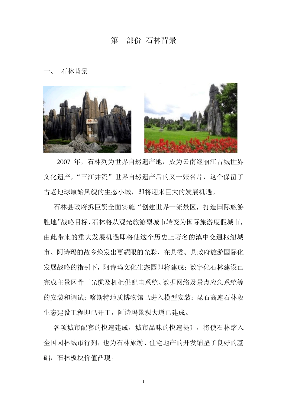 昆明石林房地产市场分析报告_第1页