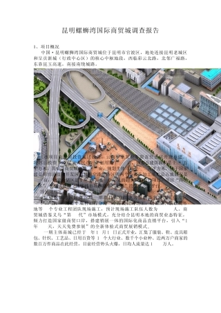 昆明螺蛳湾国际商贸城调查报告