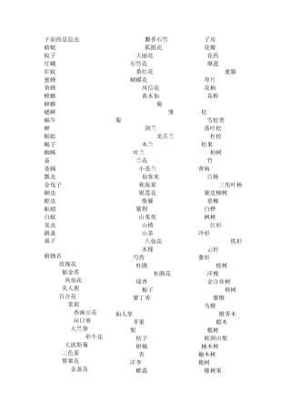 昆虫动物植物名字翻译