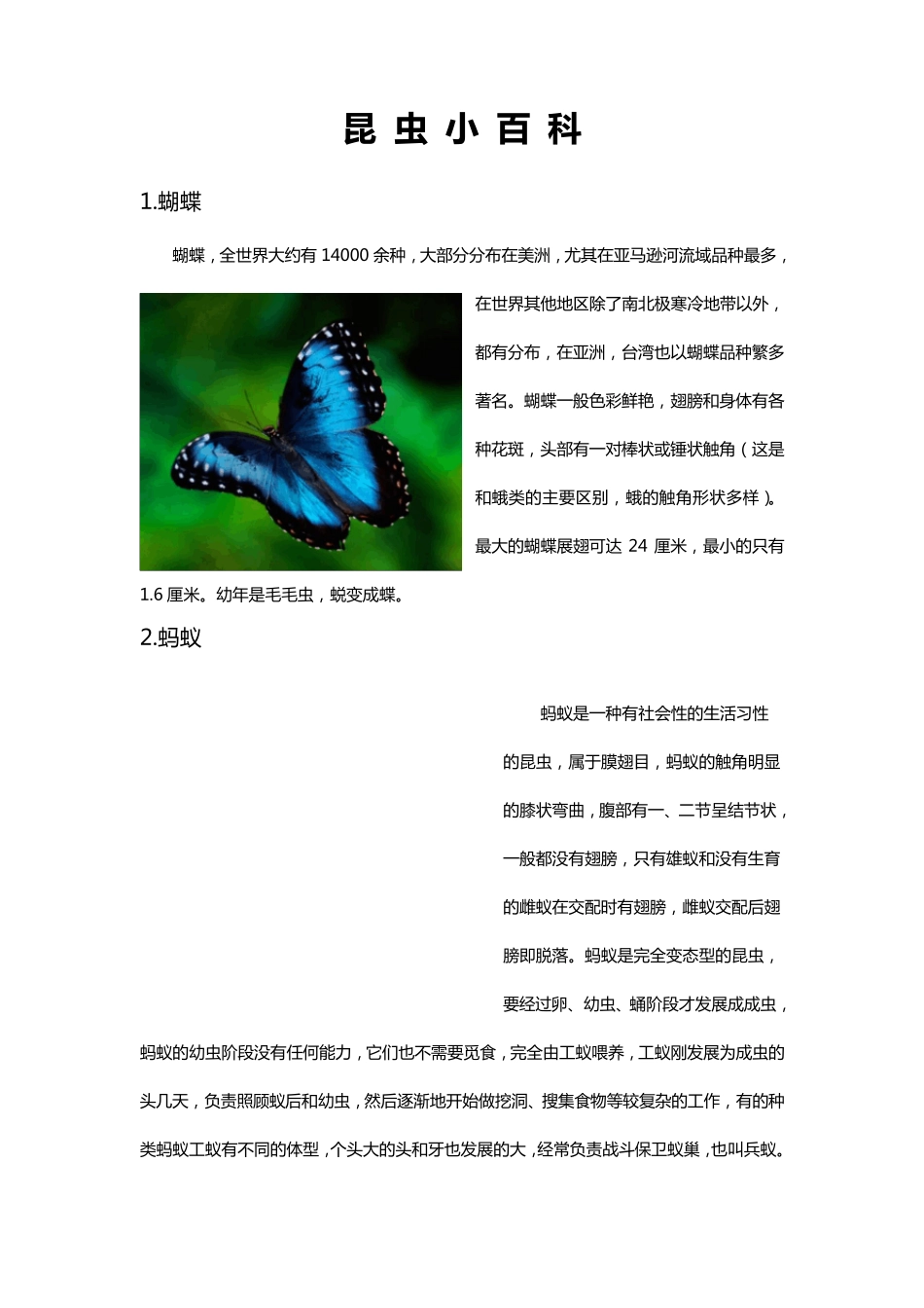 昆虫名字+图片_第1页