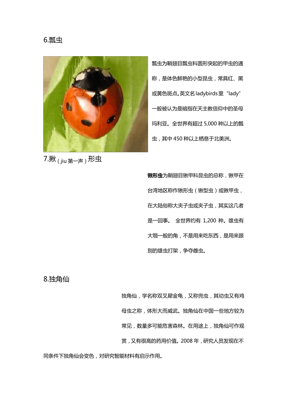 昆虫名字+图片_第3页
