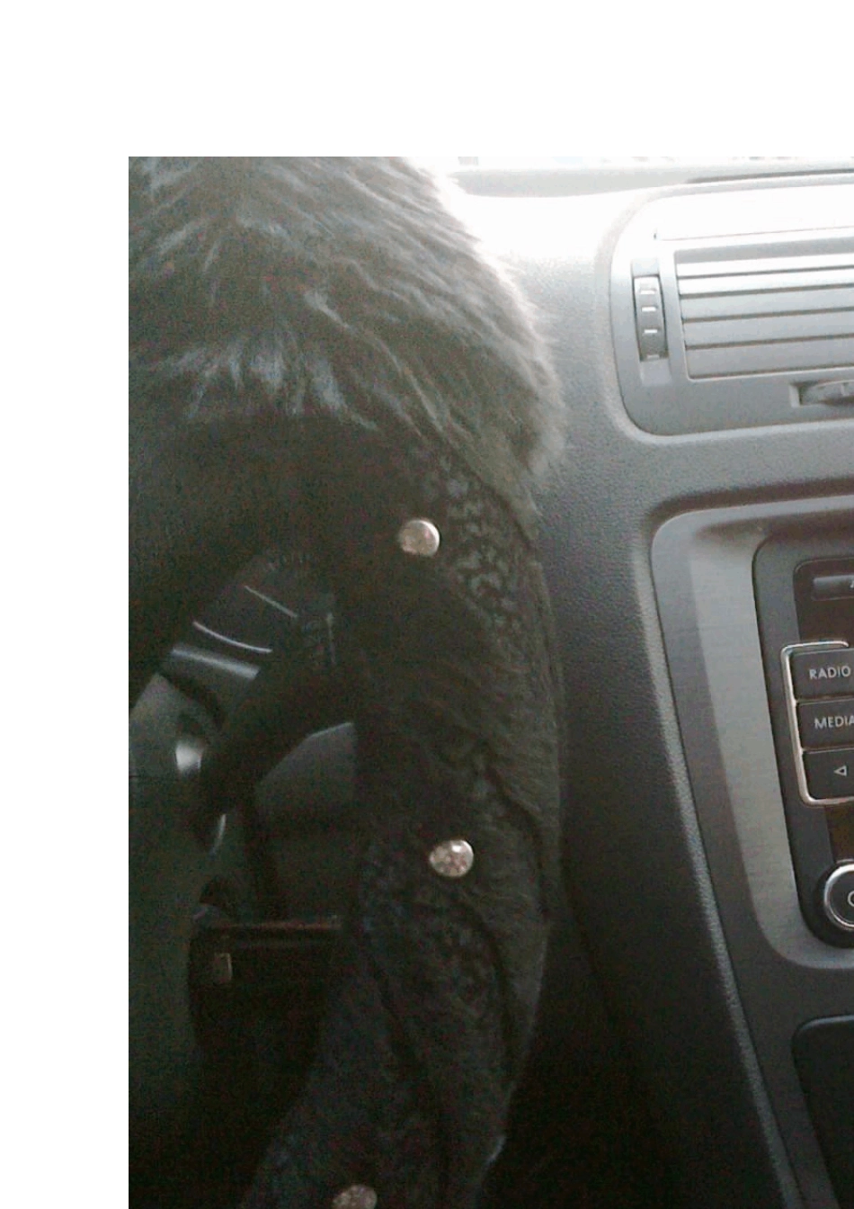 明锐RCD510安装_第1页