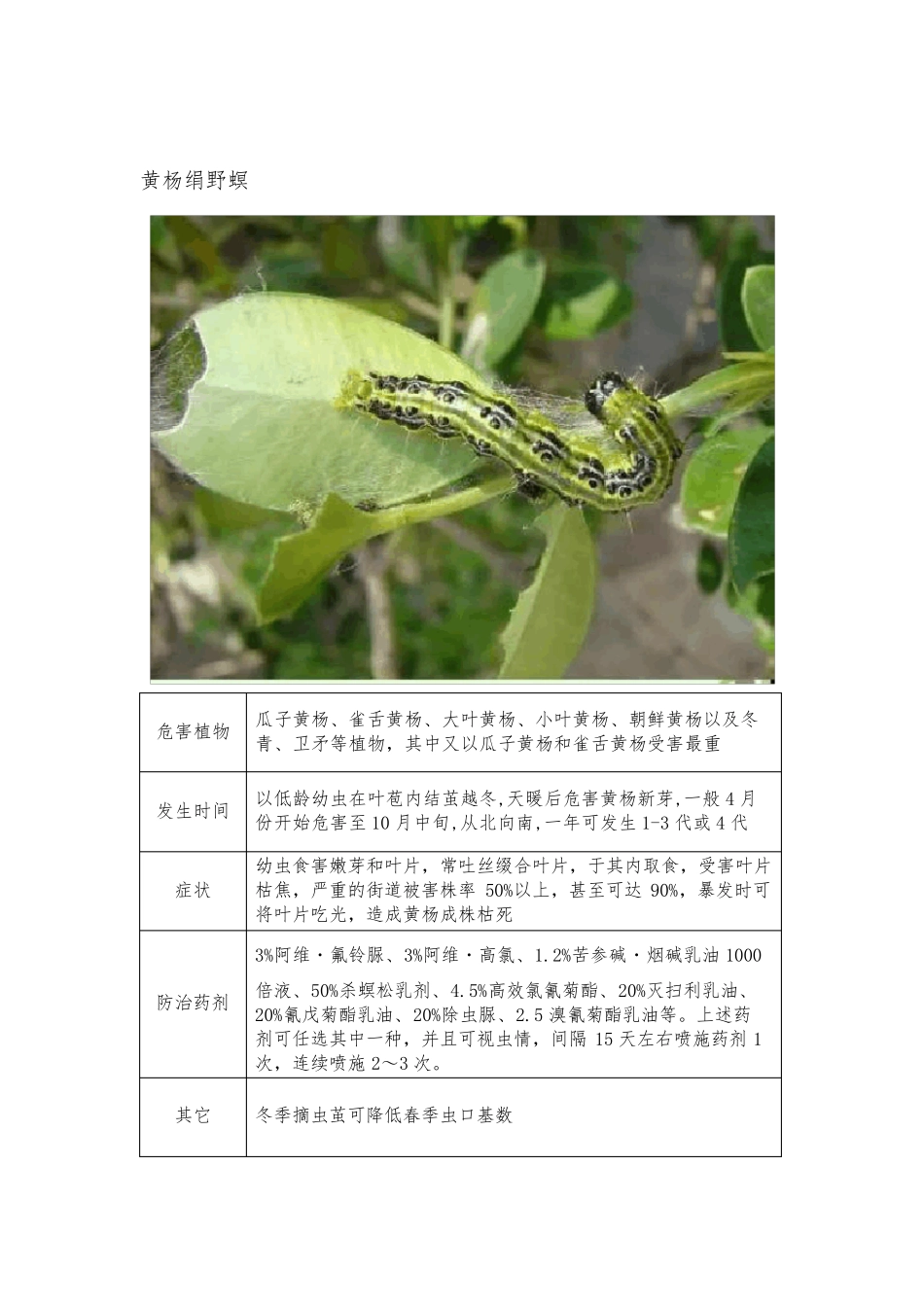 春季园林植物常见病虫害防治指引_第2页