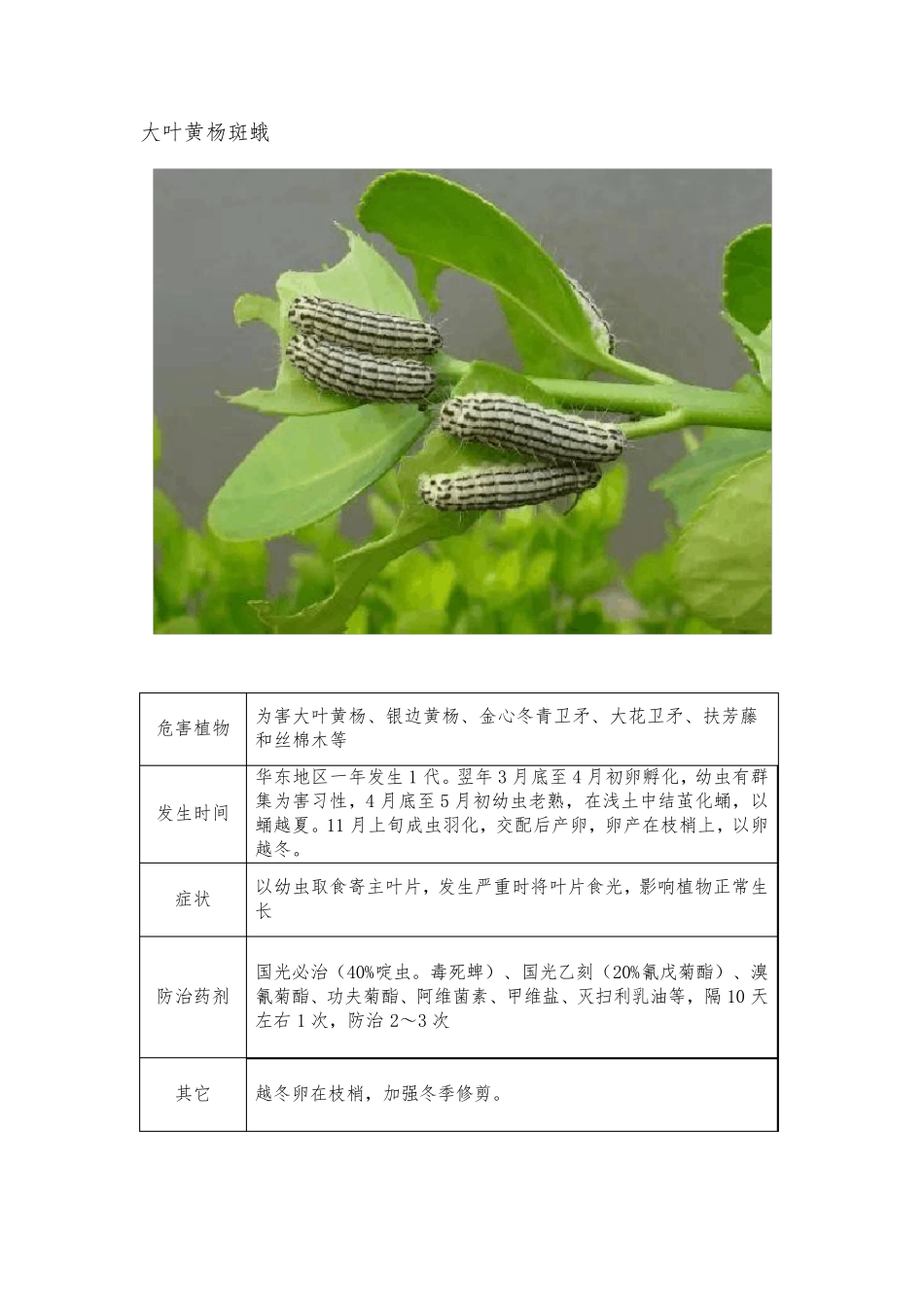 春季园林植物常见病虫害防治指引_第3页