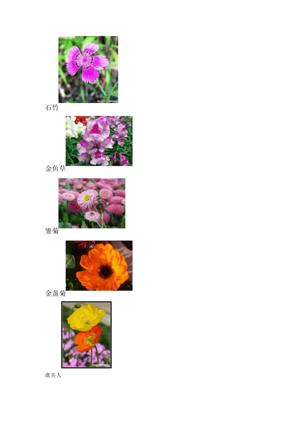 春季开花的植物_第2页