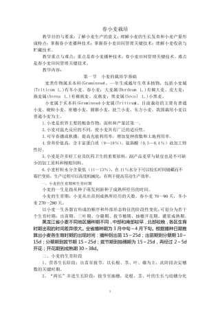 春小麦高产栽培技术