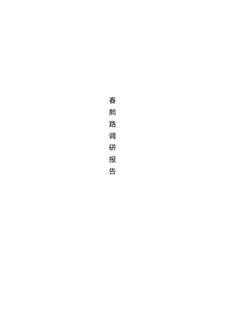 春熙路调研报告