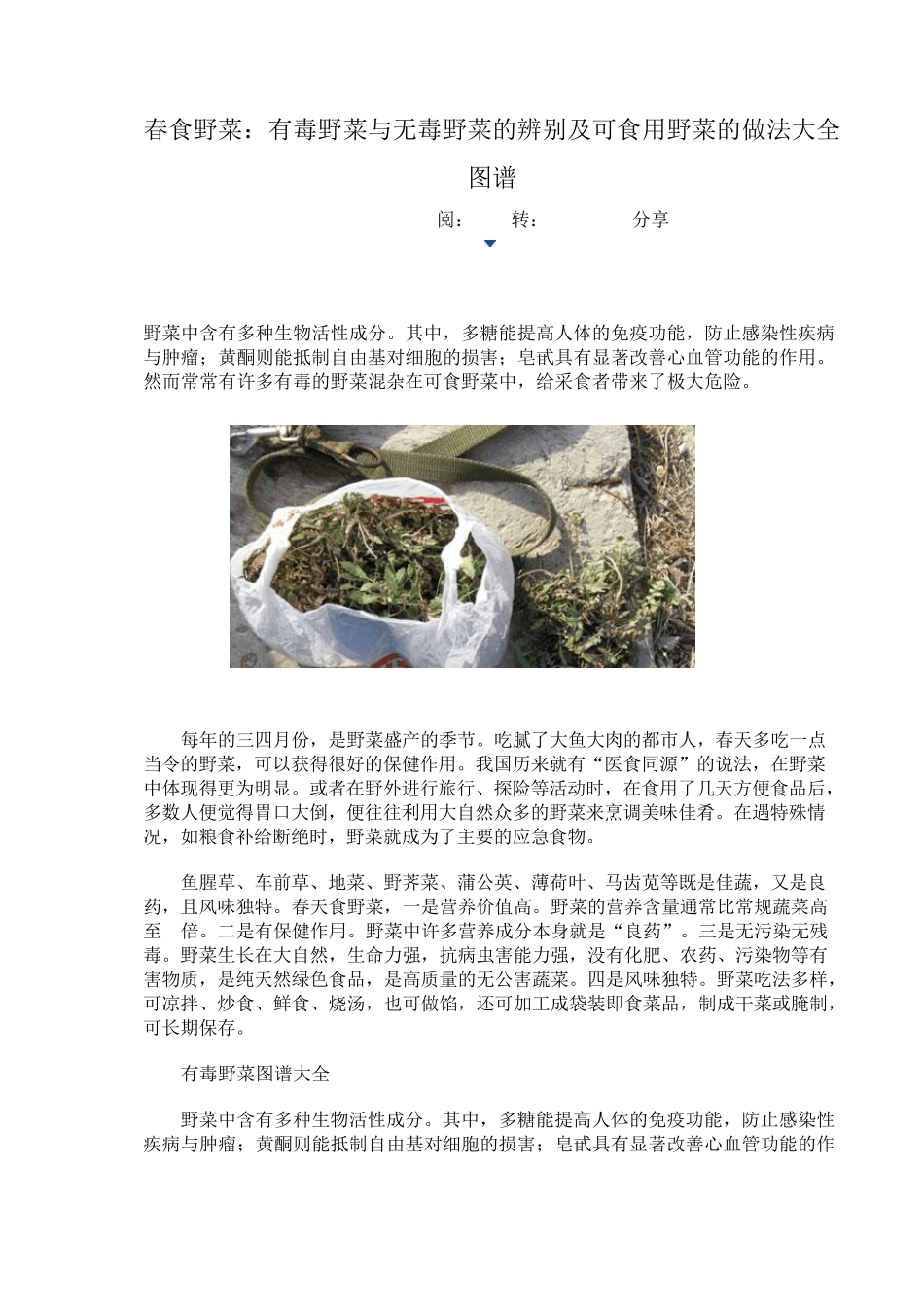 春食野菜：有毒野菜与无毒野菜的辨别及可食用野菜的做法大全图谱_第1页