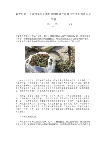 春食野菜：有毒野菜与无毒野菜的辨别及可食用野菜的做法大全图谱