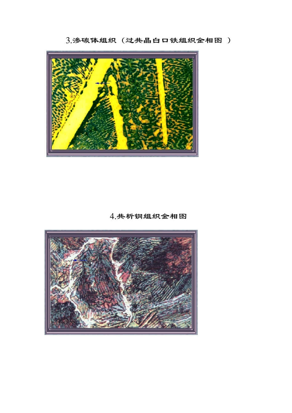 显微组织金相图谱_第2页