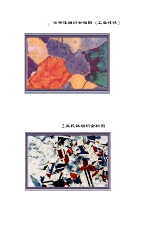 显微组织金相图谱