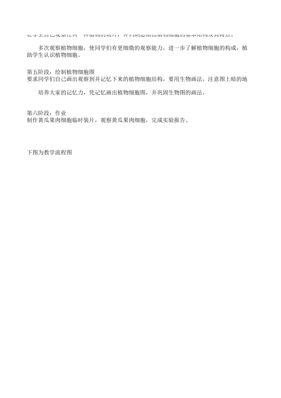 显微镜下的植物细胞_第3页