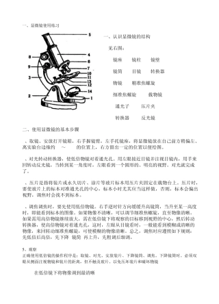 显微镜使用介绍及练习