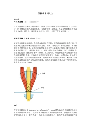 显微镜名词大全
