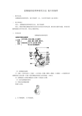 显微镜的原理和使用方法