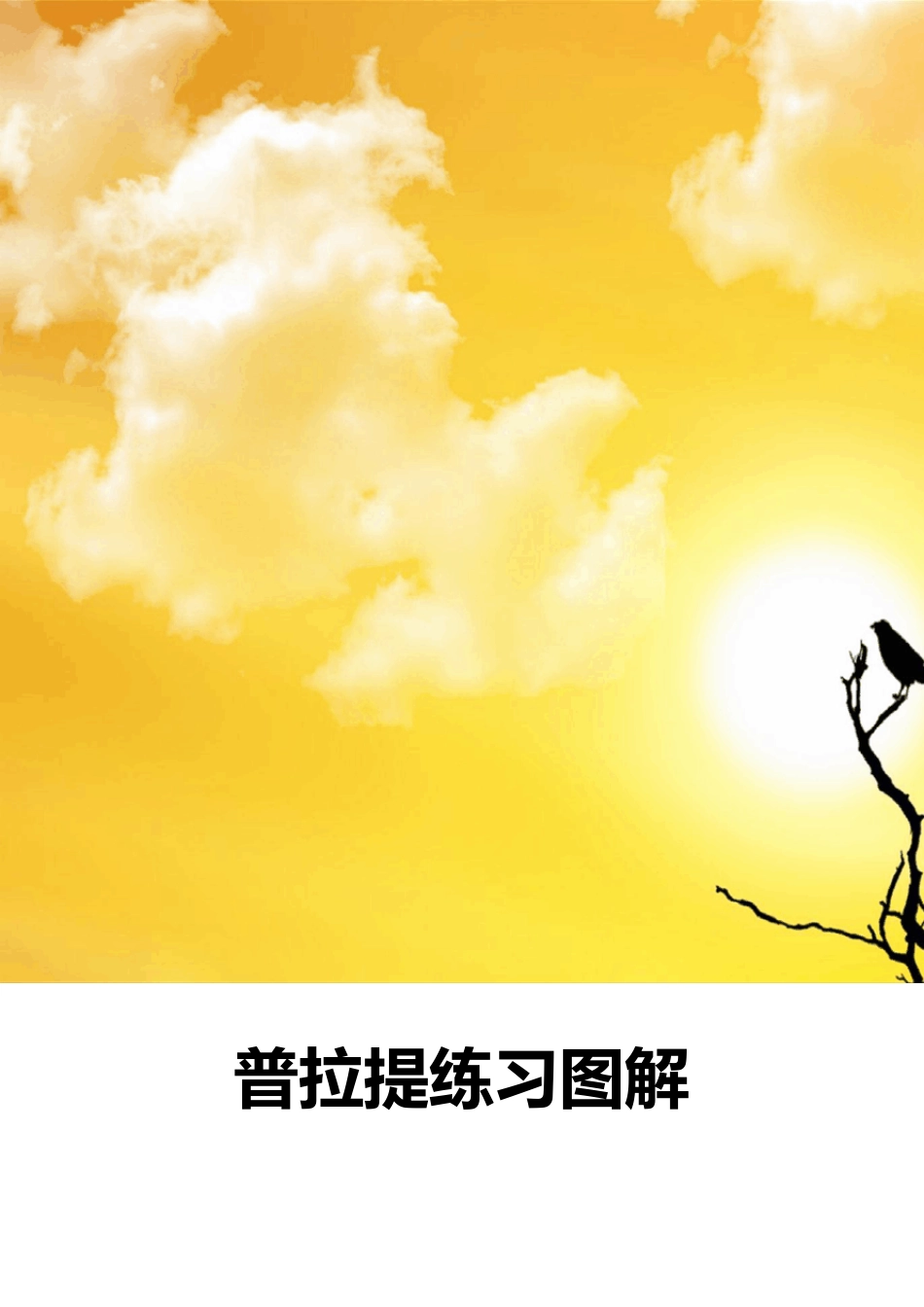 普拉提练习图解_第1页