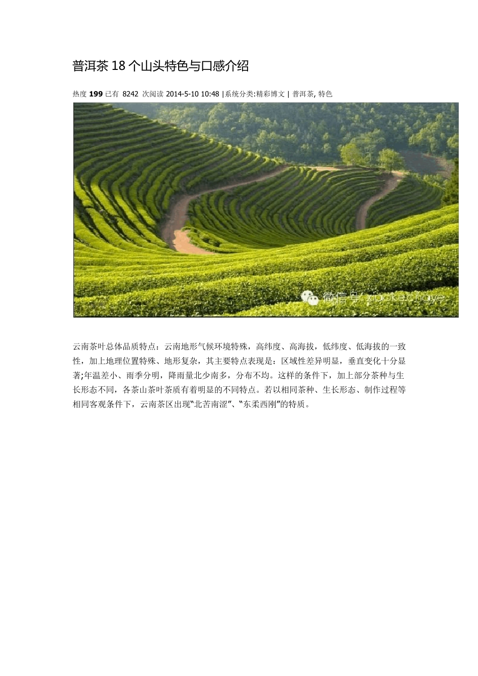 普洱茶18个山头特色与口感介绍_第1页
