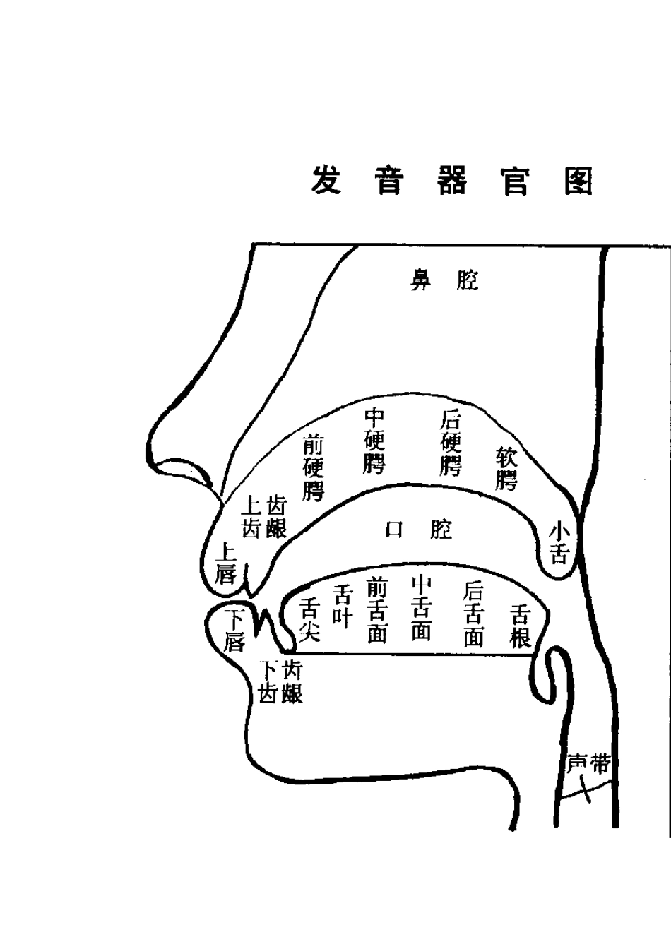 普通话教案第三章声母_第2页