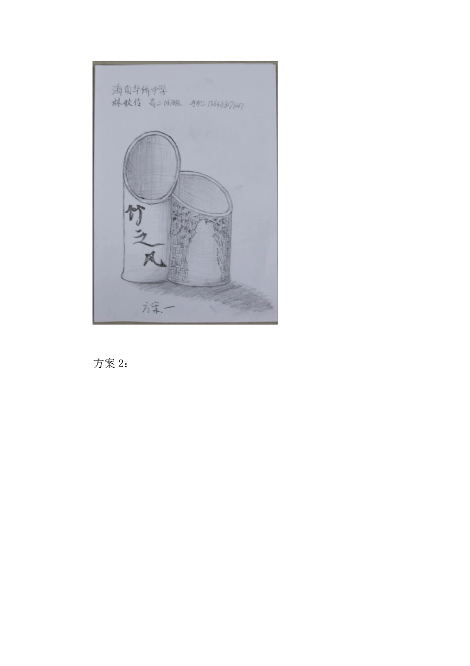 普通高中通用技术学生设计作品图文材料资料_第3页