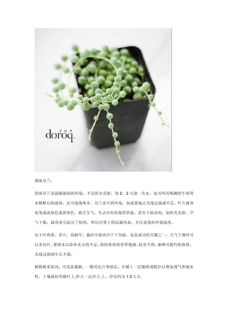 景天科植物介绍_第1页