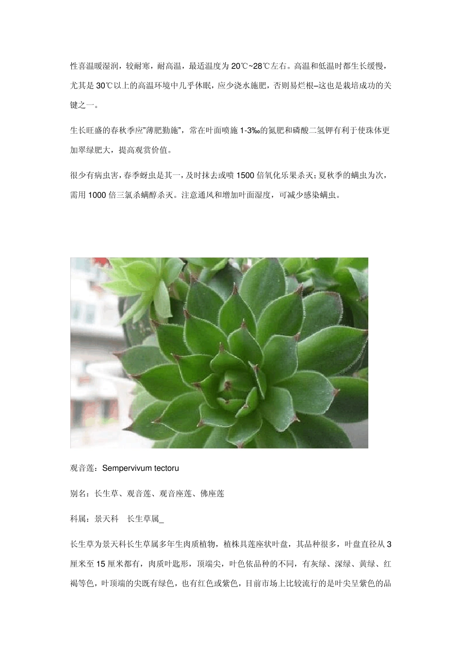 景天科植物介绍_第2页