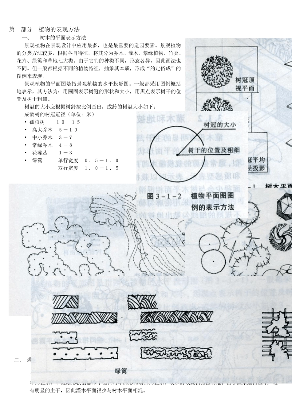 景观制图植物_第1页