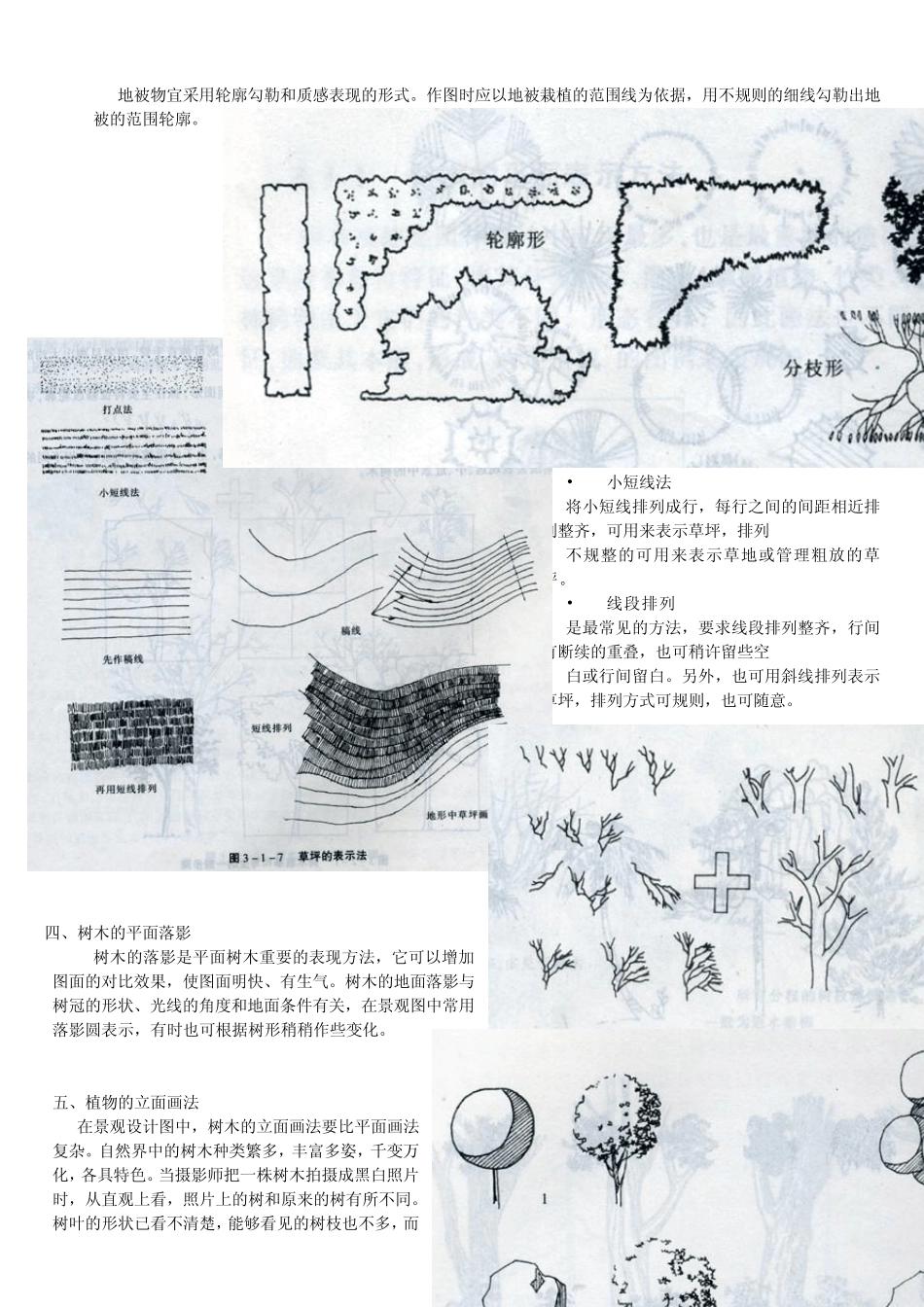 景观制图植物_第2页