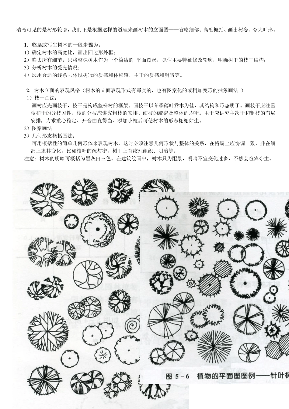 景观制图植物_第3页