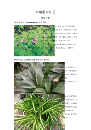 景观常用灌木+水生植物
