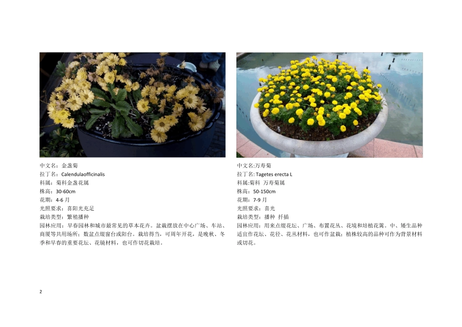 景观花卉60种_第3页