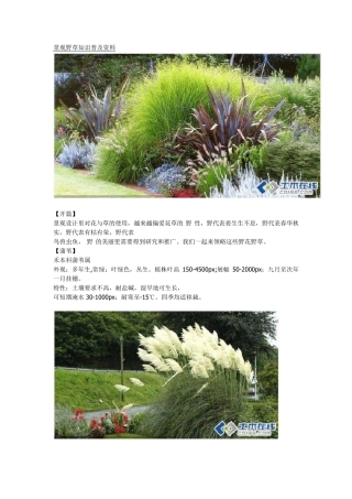 景观野草知识普及资料
