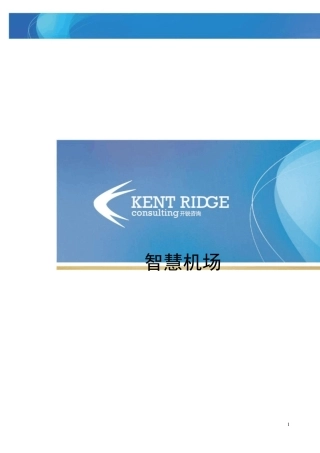 智慧机场的涵义及成功实践