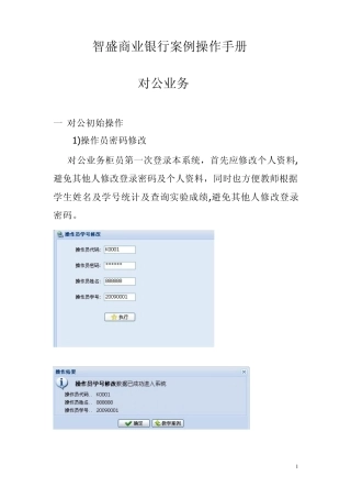 智盛商业银行案例对公
